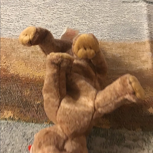 TY beanie babies Pecan bear brown BD 4/15/99. Clean bad protected - Picture 4 of 8